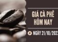 Giá cà phê hôm nay 21/10: Các tỉnh trọng điểm quay đầu tăng 600 đồng/kg