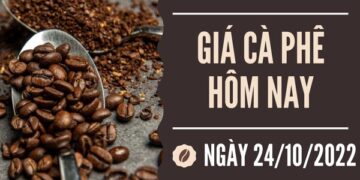 Giá cà phê hôm nay 24/10: Lâm Đồng giảm 200 đồng/kg, Đắk Nông tăng nhẹ